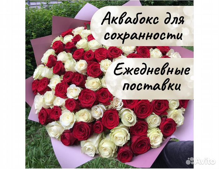 Розы цветы букеты с доставкой 101 51 31 роза