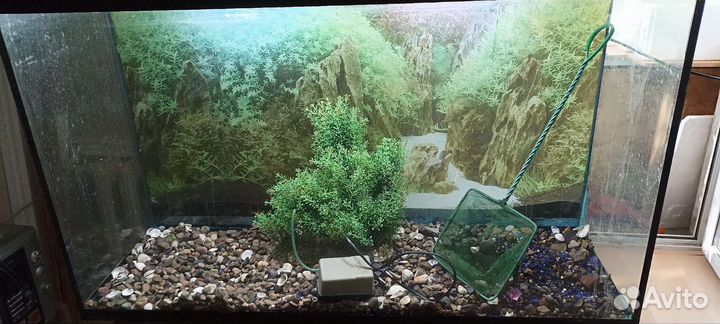Аквариум