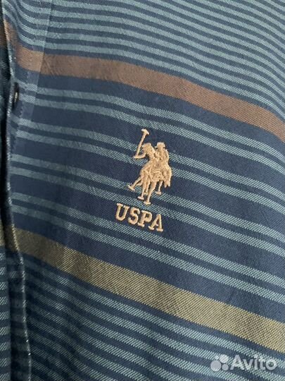 Рубашка мужская U.S. Polo
