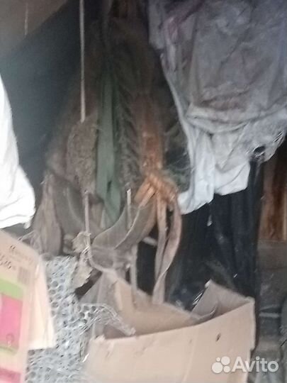 Сбруя для лошади