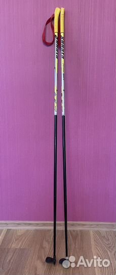 Лыжные палки 