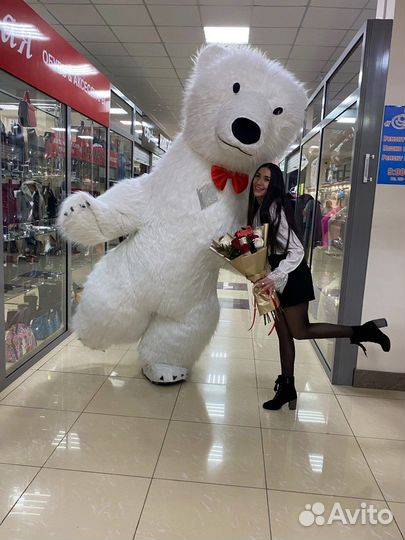 Белый медведь