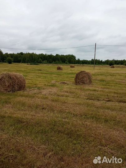 Сено в рулонах