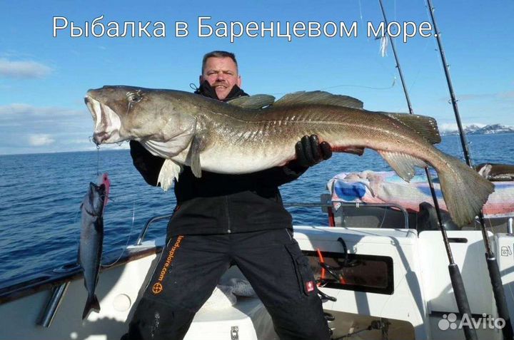Морская рыбалка, экскурсии в Баренцевом море