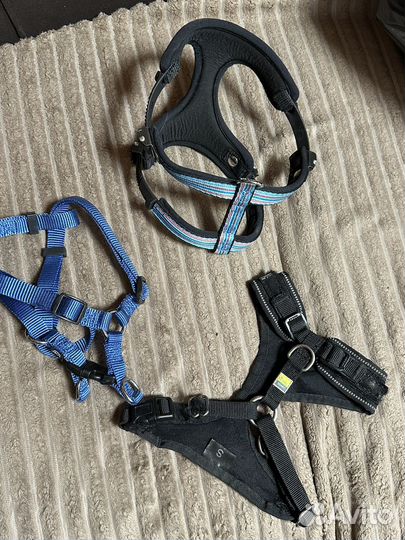 Шлейка прогулочная S