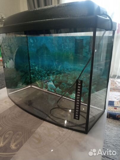 Аквариум
