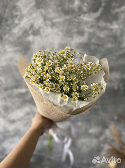 Букет ромашки, букет комплимент