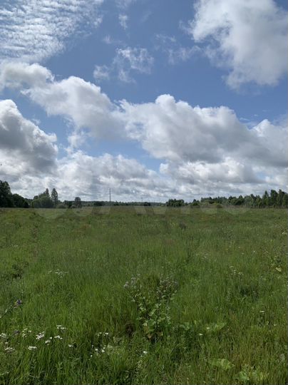 Участок 100 га (СНТ, ДНП)