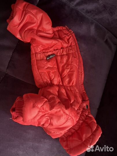 Комбинезон для собаки