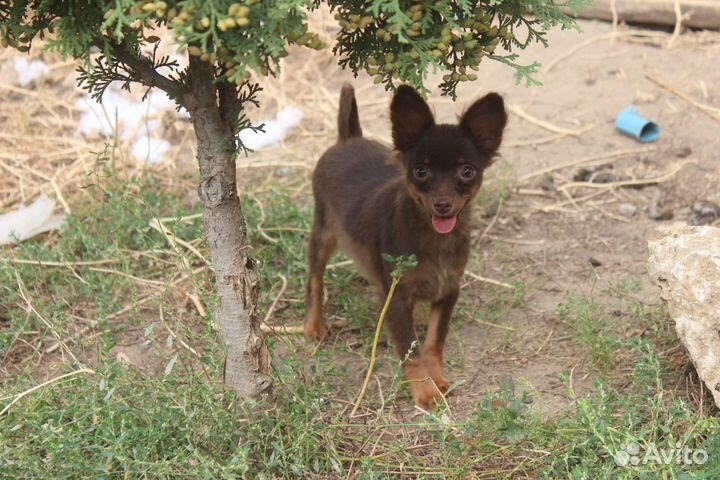 Крутая девочка