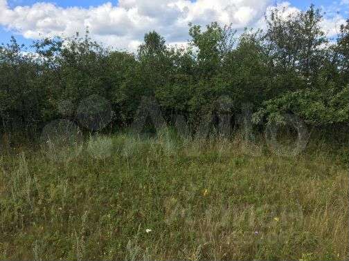 Участок 30 сот. (ИЖС)