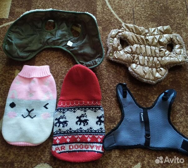 Одежда для собак мелких пород