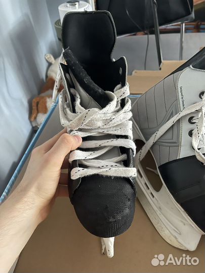 Коньки nordway