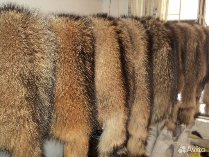 Мех енота (шкурки енота)