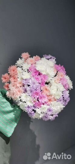 Хризантема кустовая