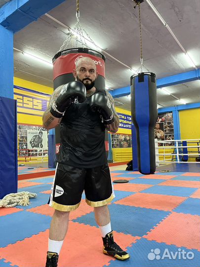 Секция бокса