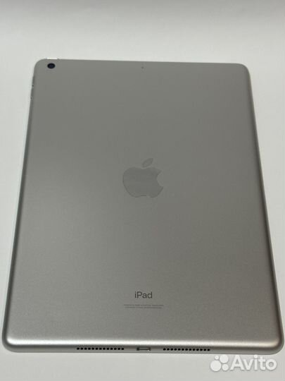 iPad