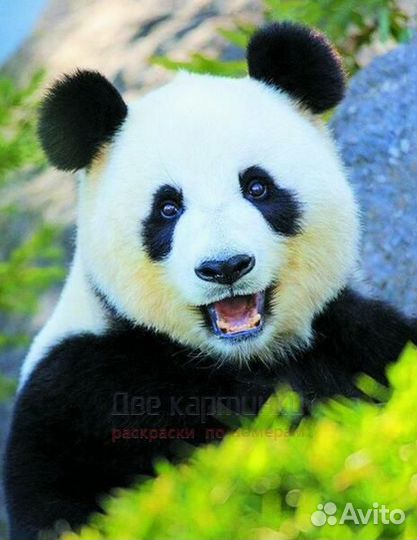 Алмазная мозаика 40x50 Улыбка панды