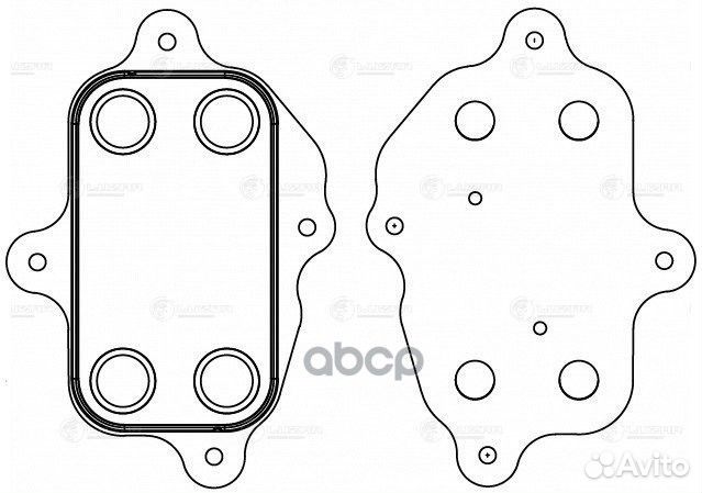 LOC 1701 luzar Радиатор масл. SsangYong Kyron