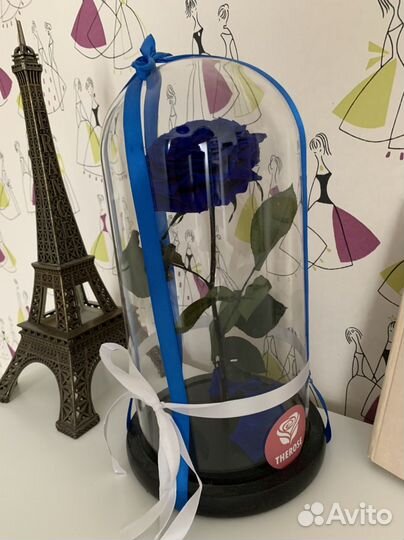 Вечная роза в колбе