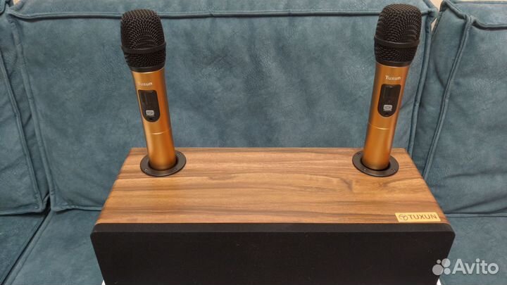 Караоке система Tuxun Artifact