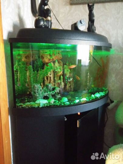 Аквариум