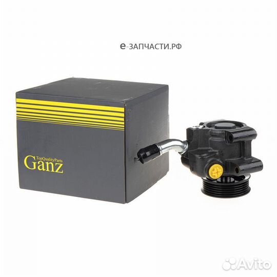Ganz GIL02020 Насос гура