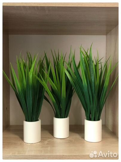 Искусственные растения в кашпо