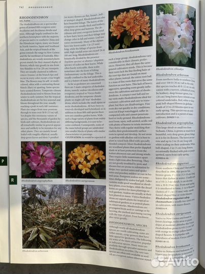 Botanica. The most complete garden encyclopedia