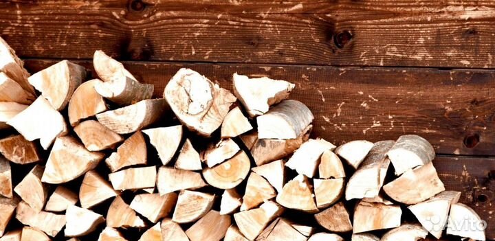 Береза на выбор