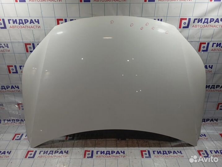 Капот Volkswagen Tiguan (NF)