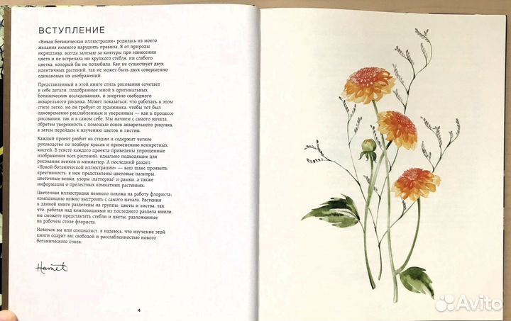 Книга Харриет де Винтон 