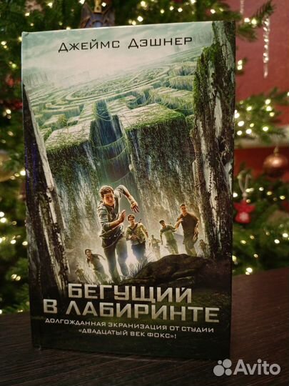 Книга Бегущий в лабиринте