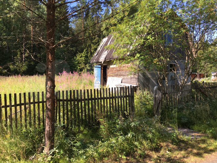 Участок 9 сот. (СНТ, ДНП)