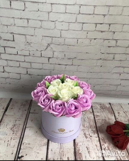 Роза мыльная сиреневая