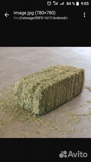 Сено. Люцерна