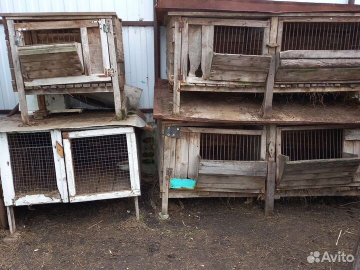 Клетка для кролика