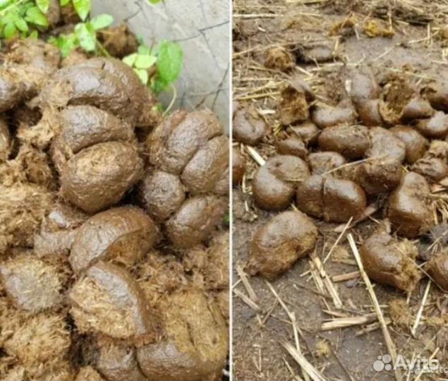 Навоз конский в мешках