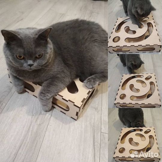 Игрушка для кота. Интерактивная игрушка для кошек