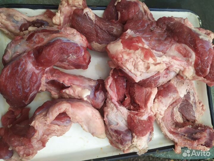 Говядина для собак