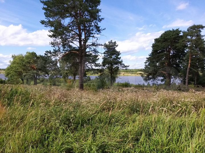 Участок 15 сот. (СНТ, ДНП)