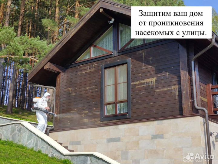 Обработка от клещей комаров муравьев мух тли