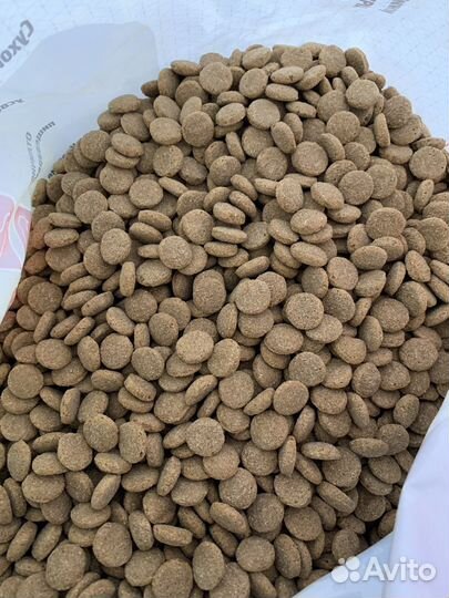 Provipet Корм для собак и кошек. На развес