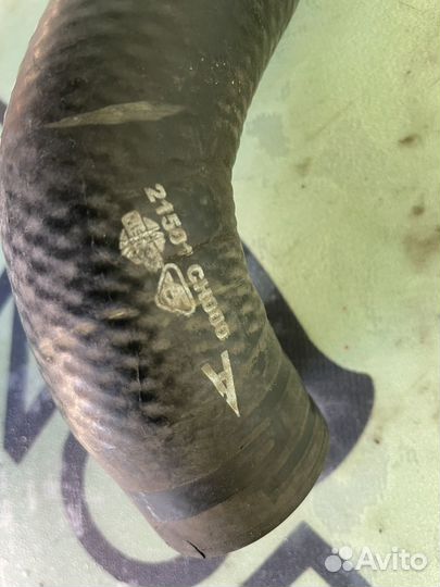 Патрубок радиатора верхний nissan tiida c11