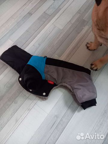 Зимняя куртка для собаки