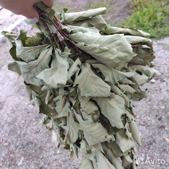 Банные веники дуб береза