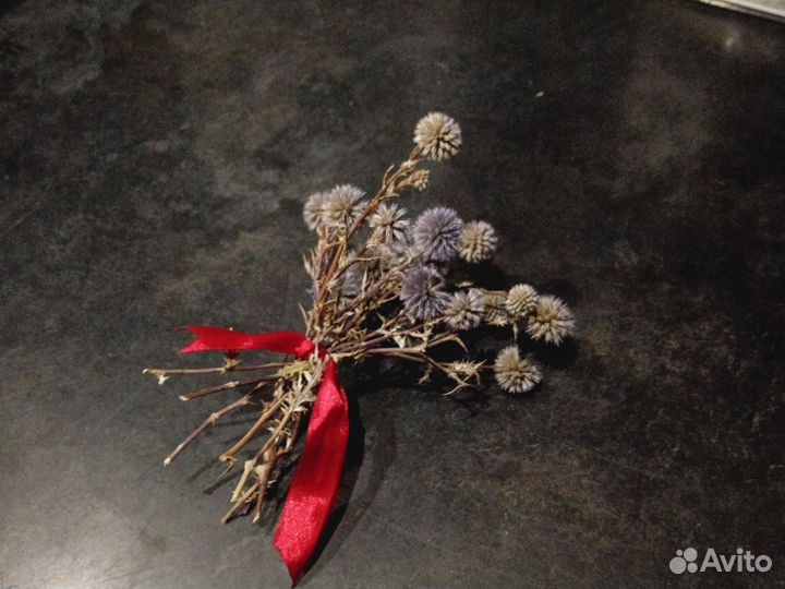 Чертополох синеголовник