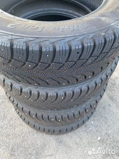 Matador MP 30 Sibir Ice 2 175/65 R14 86T