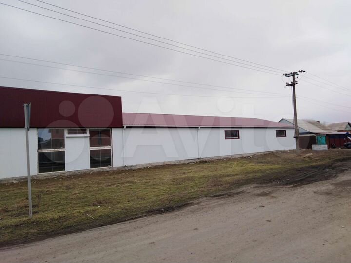 Торговая площадь, 540 м²