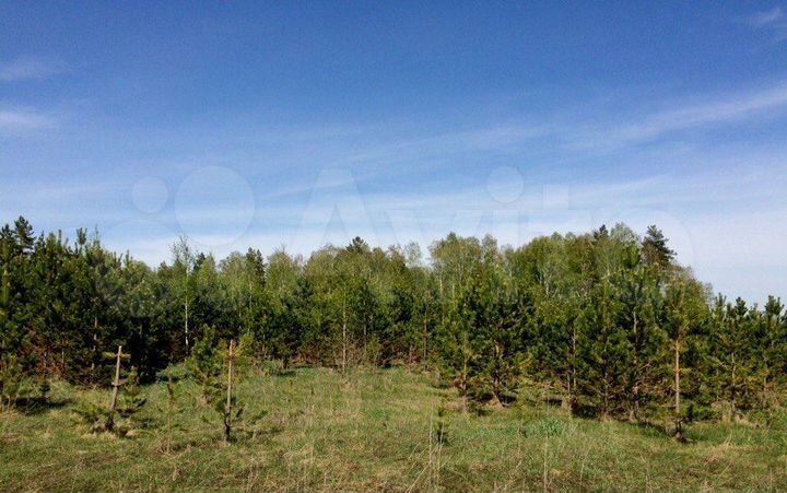 Участок 10 сот. (СНТ, ДНП)